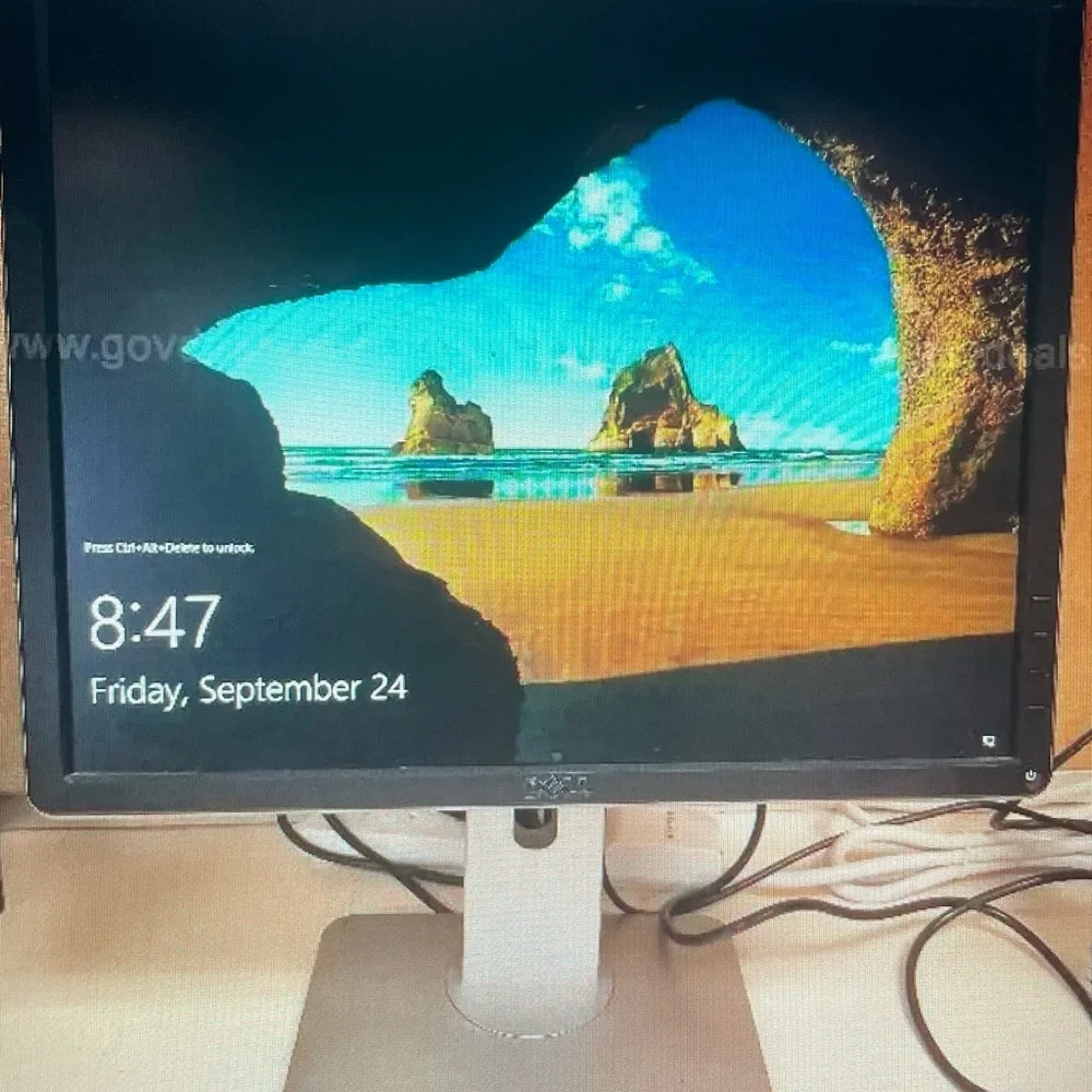 19” Dell 1914SF Monitors